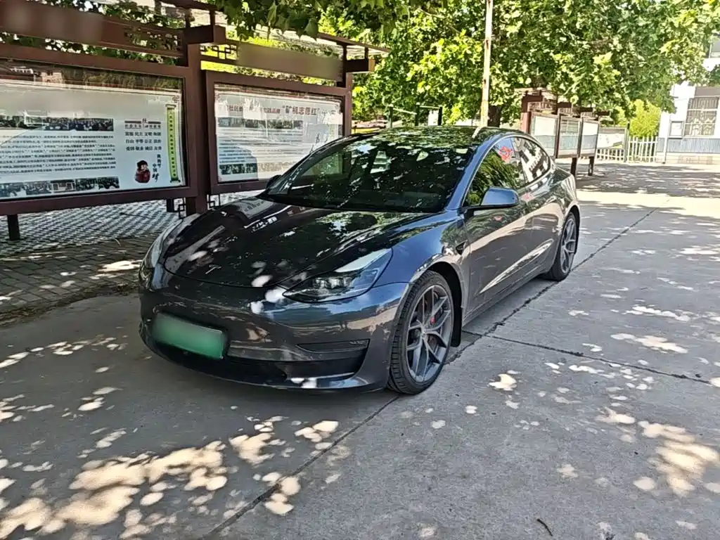 Tesla Model 3 2021 Performance High-Performance All-Wheel Drive