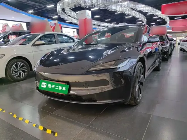 Tesla Model 3 2025 Model Rear-Wheel Drive Edition