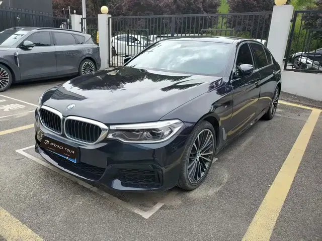BMW 5 Series 2020 530Li Leading M Sport Package