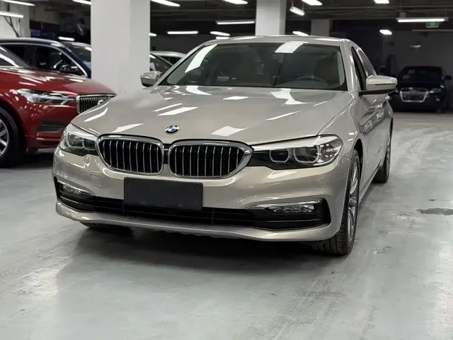 BMW 5 Series 2018 528Li Launch Special Edition
