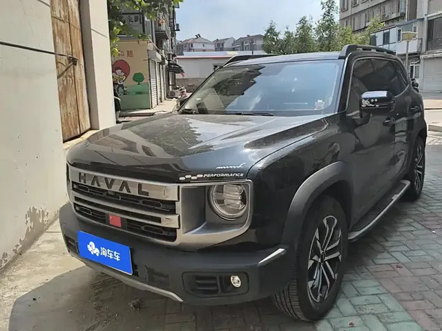 Haval Big Dog 2024 1.5T DCT Border Collie Edition