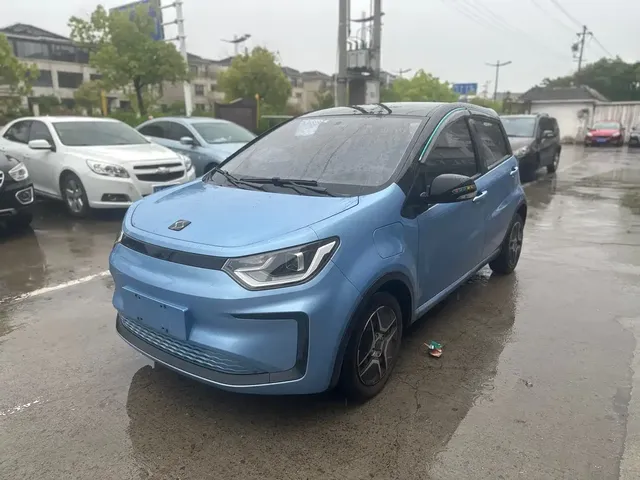 Sehol Flower Fairy 2021 302km Fashion Edition 31.4kWh