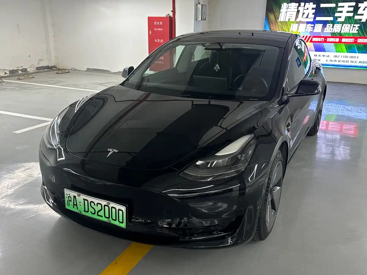 Tesla Model 3 2021 Standard Range Rear-Wheel Drive Upgrade