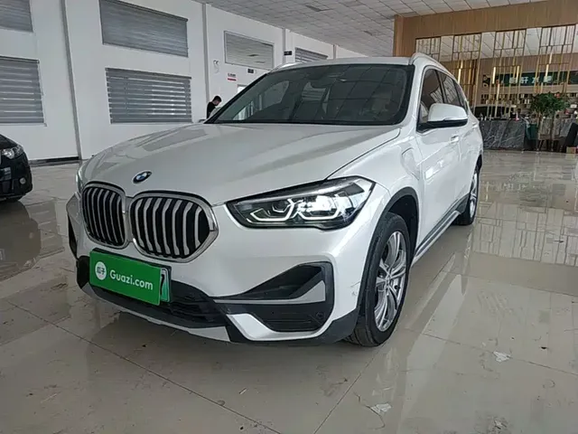BMW X1 New Energy 2020 xDrive30Le Premium Edition