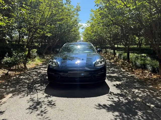 Porsche Panamera 2023 Panamera 2.9T Platinum Edition