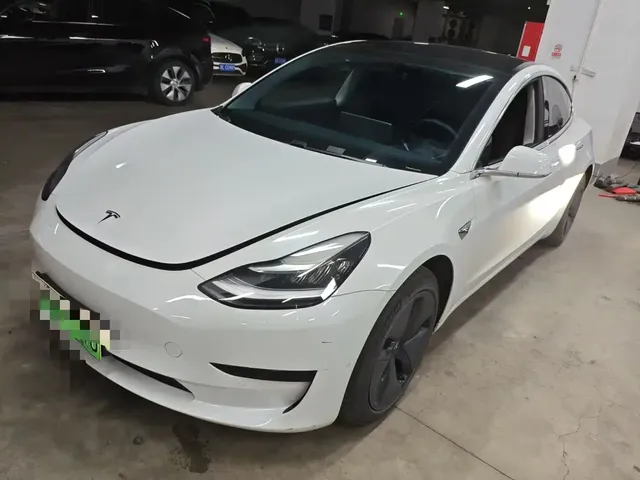 Tesla Model 3 2020 Standard Range Rear-Wheel Drive Upgrade