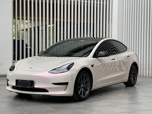 Tesla Model 3 2021 Standard Range Rear-Wheel Drive Upgrade 3D6