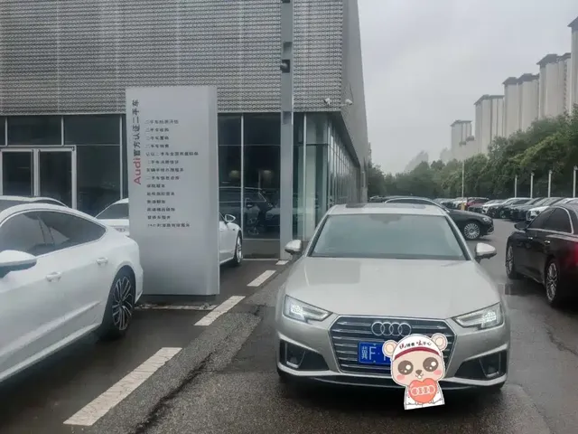 Audi A4L 2019 40 TFSI Fashion (China VI)