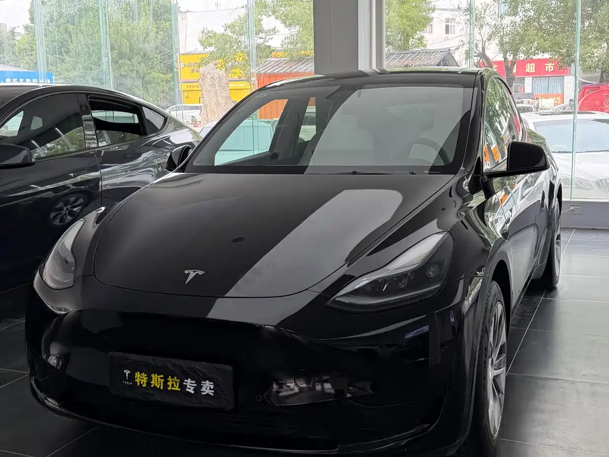 Tesla Model Y 2022 Rear-Wheel Drive Version