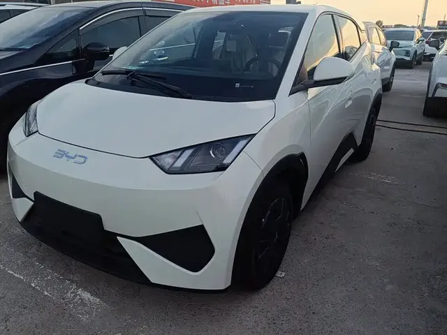 BYD Seagull, 2026