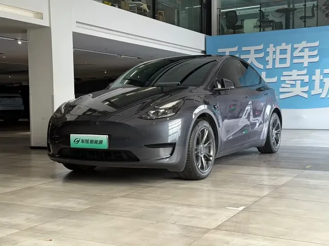 Tesla Model Y 2022 Rear-Wheel Drive Version