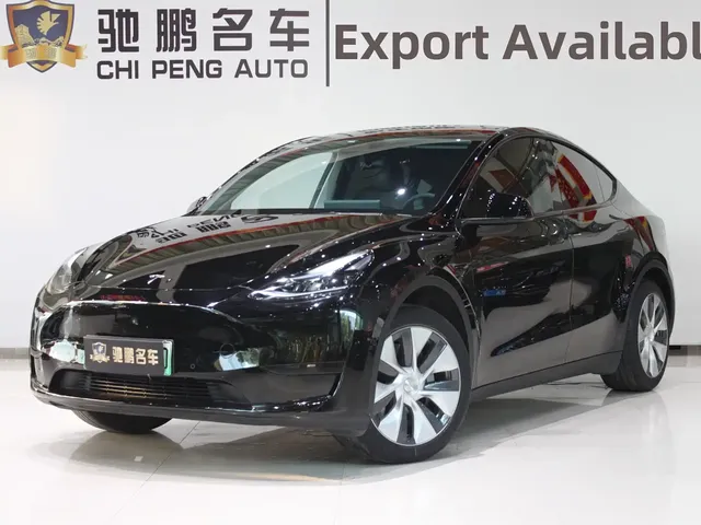 Tesla Model Y 2022 Rear-Wheel Drive Version