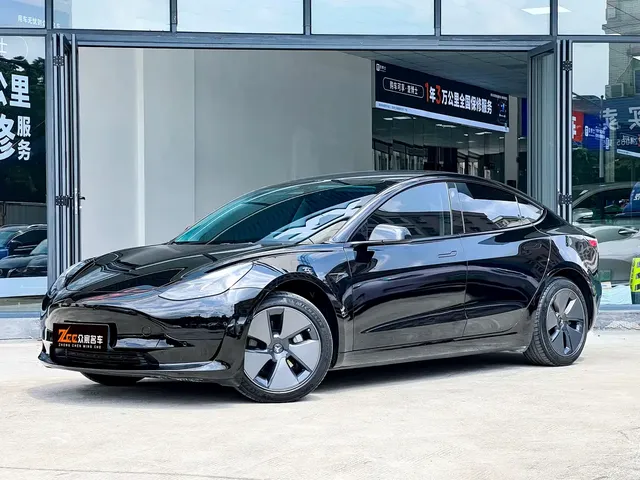 Tesla Model 3 2022 Model Rear-Wheel Drive Version