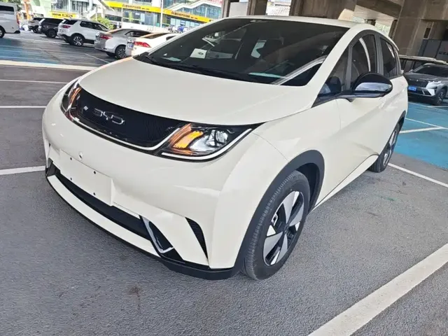 BYD Dolphin 2023 420km Freedom Edition