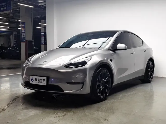 Tesla Model Y 2021 Standard Range Rear-Wheel Drive