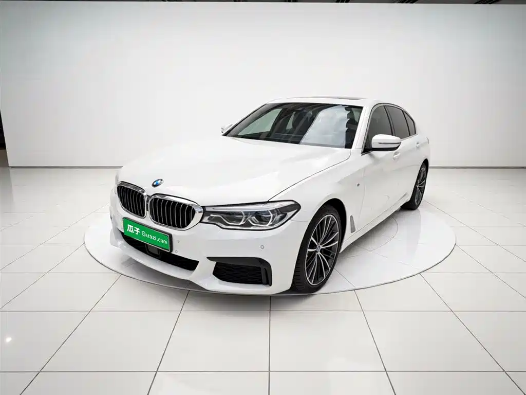 BMW 5 Series 2020 530Li Exclusive M Sport Package