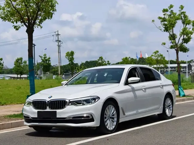 BMW 5 Series 2020 530Li Leading Luxury Package