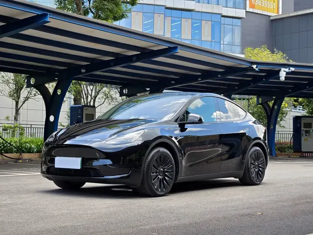 Tesla Model Y 2022 Rear-Wheel Drive Version