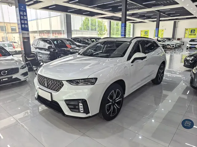 WEY VV7 New Energy 2020 PHEV 2.0T Flagship Model