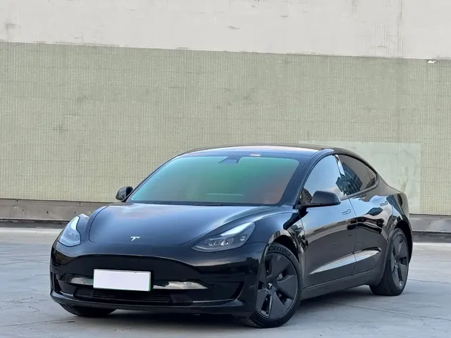 Tesla Model 3 2022 Model Rear-Wheel Drive Version
