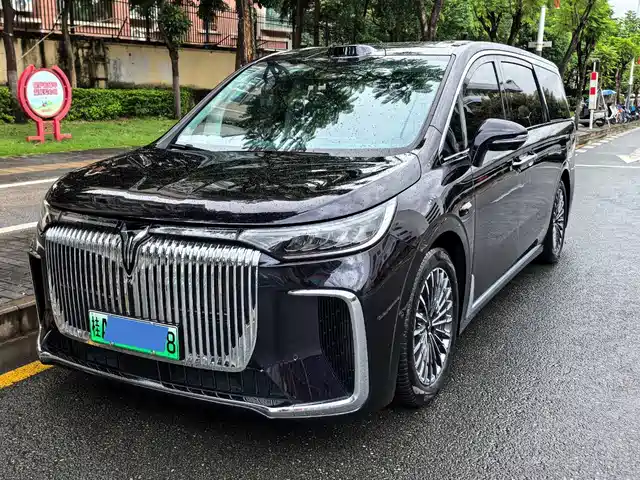 Voyah Auto Voyah Dreamer 2025 Model PHEV Basic Version