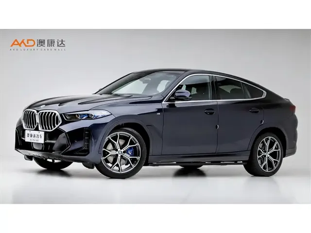 BMW X6 2023 xDrive40i Premium M Sport Package