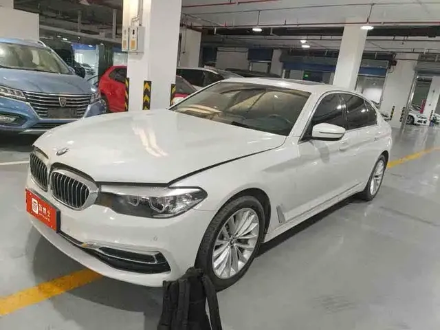 BMW 5 Series 2020 530Li Leading Luxury Package