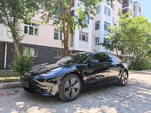 Tesla Model 3 2021 Standard Range Rear-Wheel Drive Upgrade