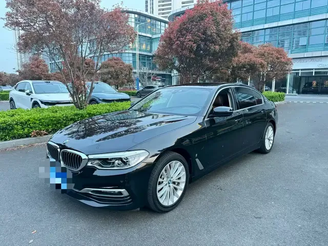 BMW 5 Series New Energy 2019 530Le Luxury Package