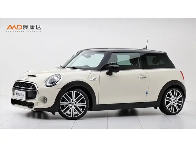 MINI MINI 2021 2.0T COOPER S Artist