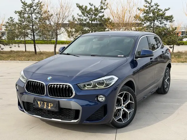 BMW X2 (Import) 2019 sDrive20i M Off-Road Package China VI