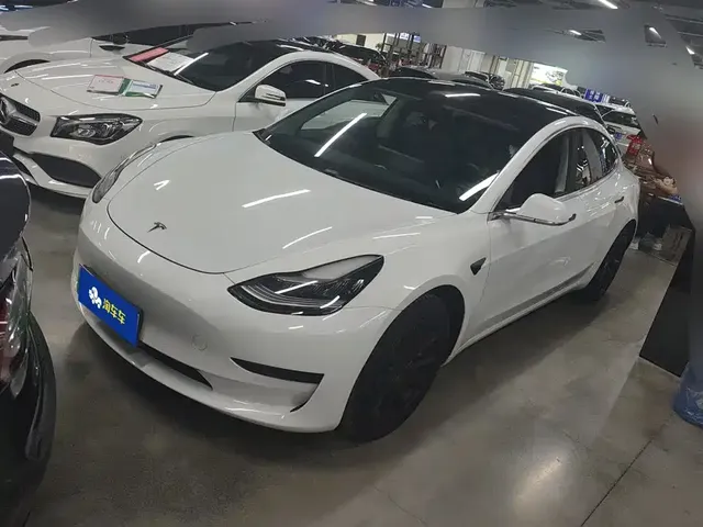 Tesla Model 3 2020 Standard Range Rear-Wheel Drive Upgrade