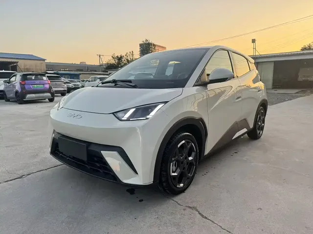 BYD Seagull 2024 Glory Edition 305km Freedom Edition