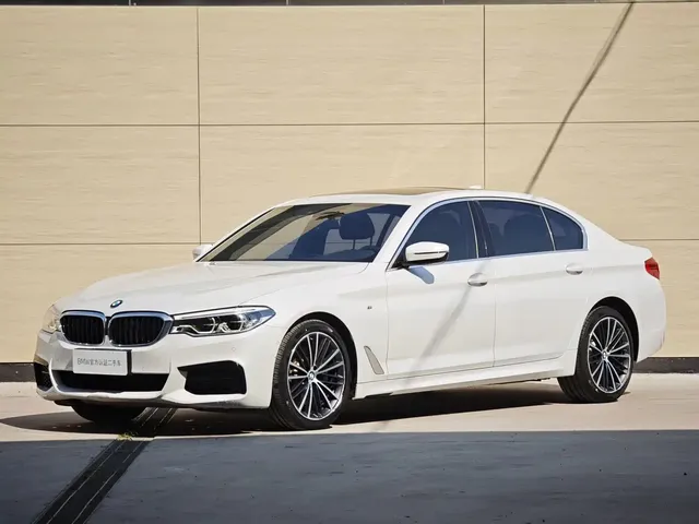 BMW 5 Series 2020 530Li Leading M Sport Package