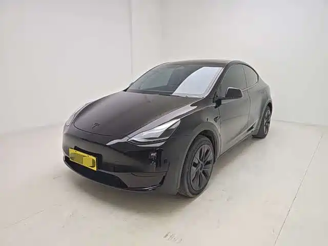 Tesla Model Y 2024 Rear-Wheel Drive Version