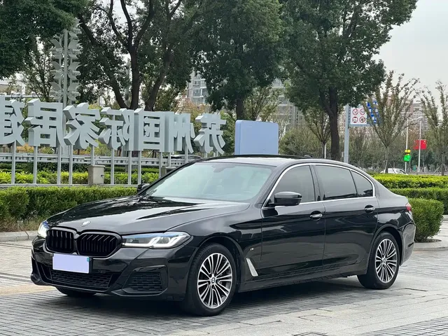 BMW 5 Series 2018 530Li Exclusive Luxury Package