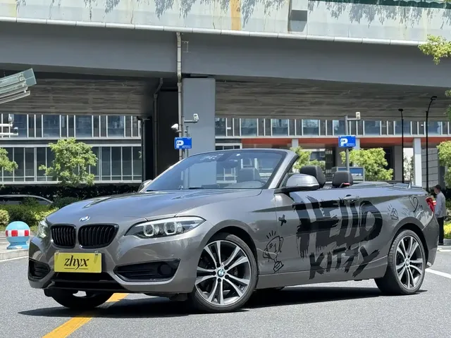 BMW 2 Series (Import) 2019 225i Convertible Coupe Sport Design Package