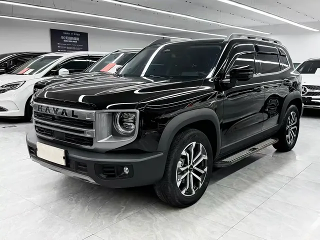 Haval Big Dog 2024 1.5T DCT Border Collie Edition