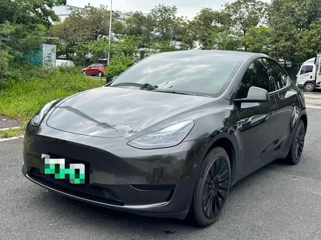 Tesla Model Y 2022 Rear-Wheel Drive Version