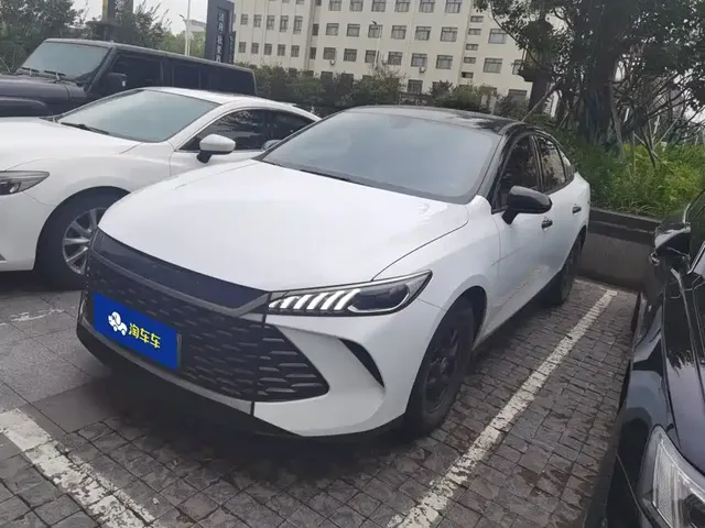 BYD Qin PLUS 2025 DM-i Smart Drive 55KM Leader