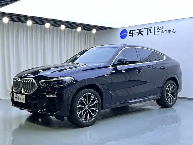 BMW X6 2021 xDrive40i M Sport Package