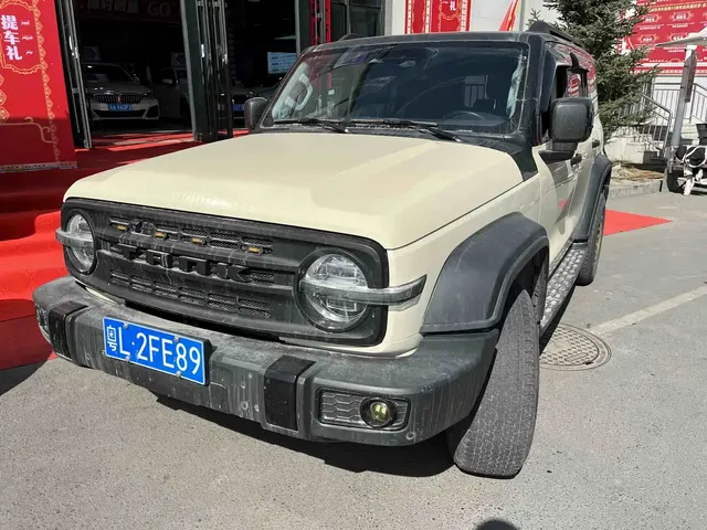 Tank 300 2021 Off-road Version 2.0T Conqueror
