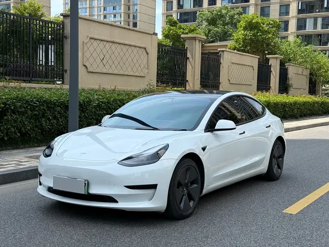 Tesla Model 3 2021 Standard Range Rear-Wheel Drive Upgrade