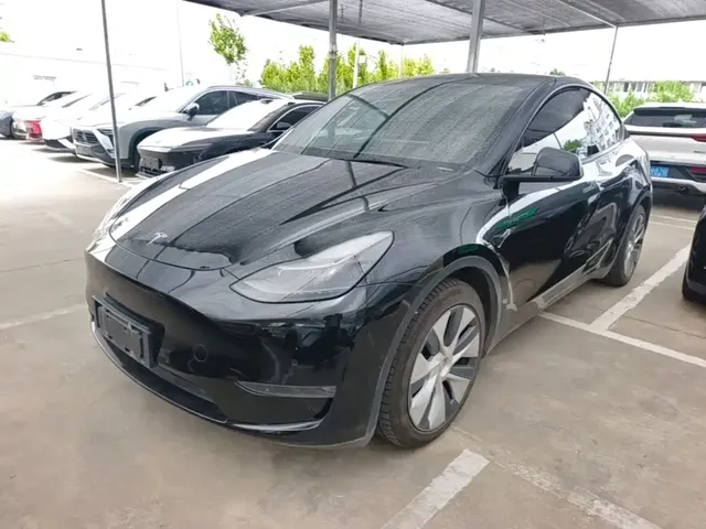 Tesla Model Y 2021 Standard Range Rear-Wheel Drive