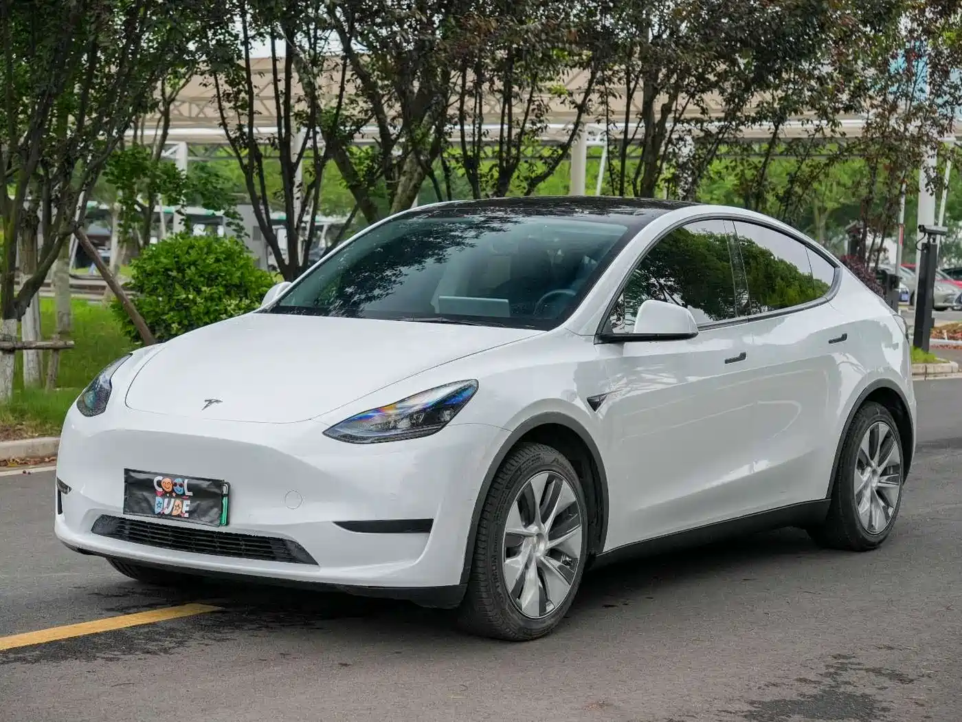 Tesla Model Y 2022 Rear-Wheel Drive Version