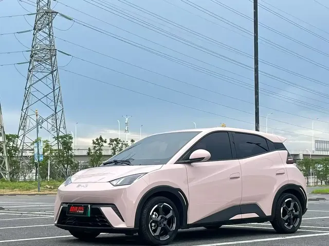 BYD Seagull 2024 Glory Edition 305km Freedom Edition
