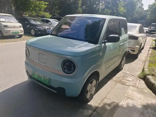 Geely Galaxy Panda 2023 Panda Mini 120km Super Cute Bear
