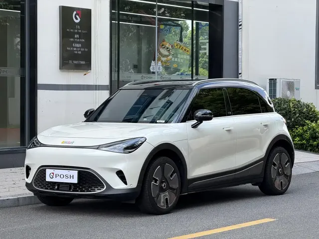 smart Elf #1 2022 Premium Edition