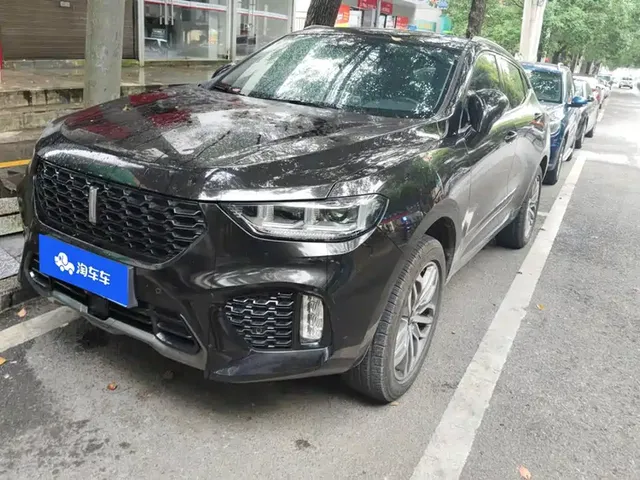 WEY VV5 2019 Upgrade 2.0T 2WD Ultra Luxury China V