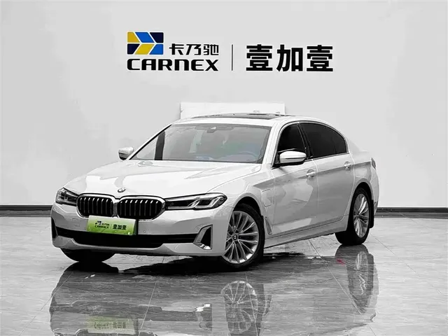 BMW 5 Series New Energy 2021 535Le Luxury Package